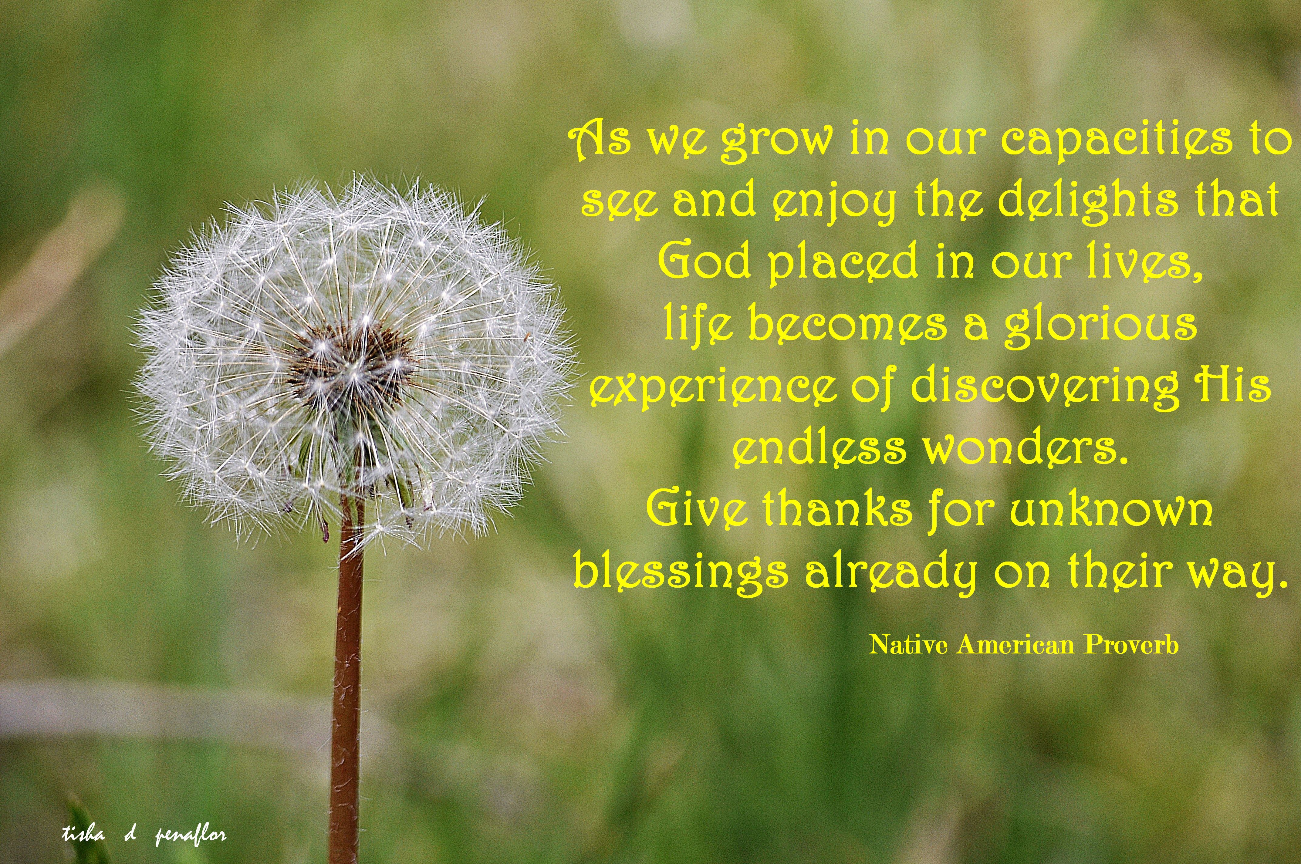 Tags: Dandelion , Nature.Photography , Quotes and Sayings